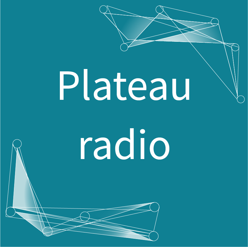 JDLN | Plateau radio : culture numérique avec Radio PRUN' | Nantes